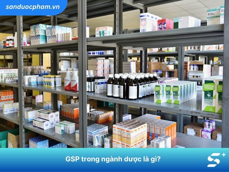 GSP trong ngành dược
