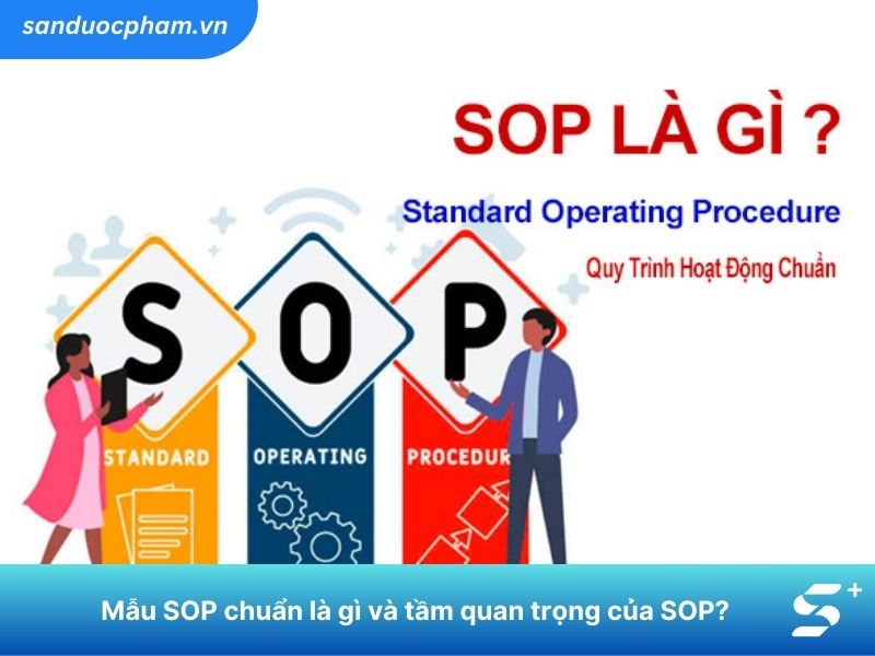 Mẫu SOP chuẩn là gì và tầm quan trọng của SOP?