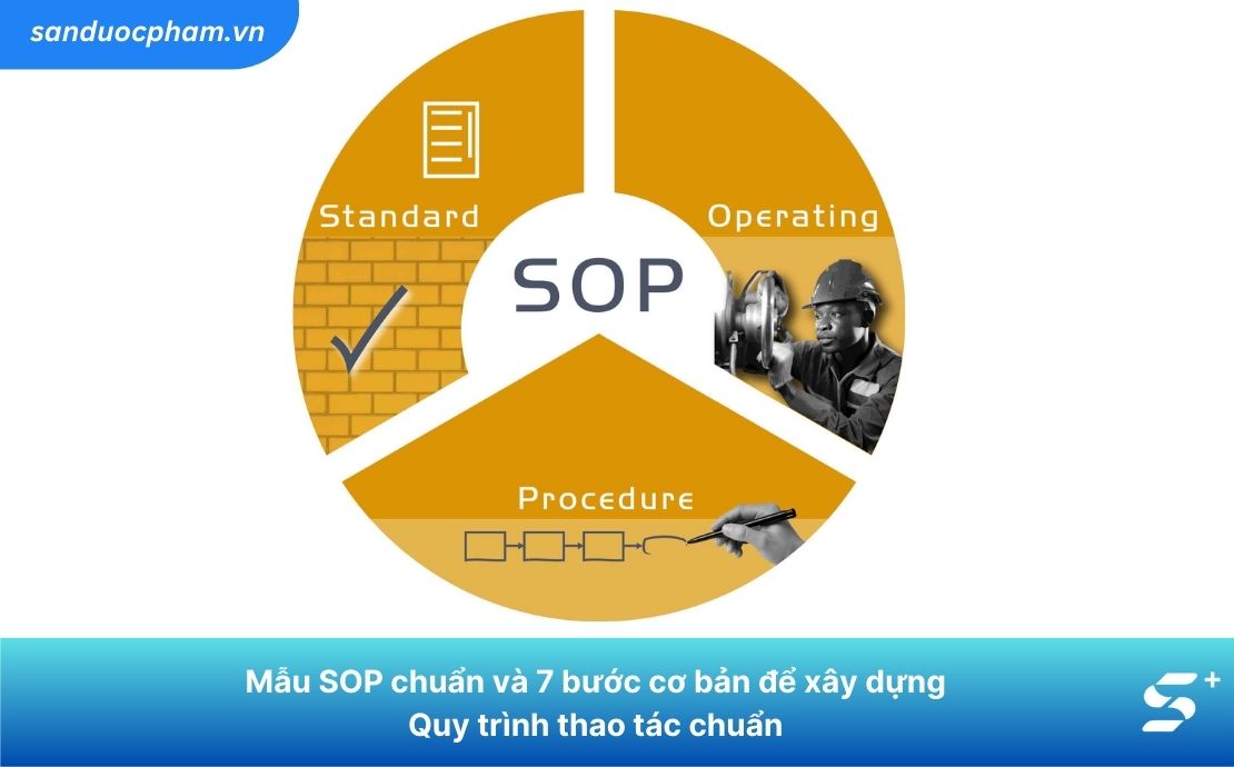 Cách viết mẫu SOP chuẩn, đúng quy trình theo 7 bước