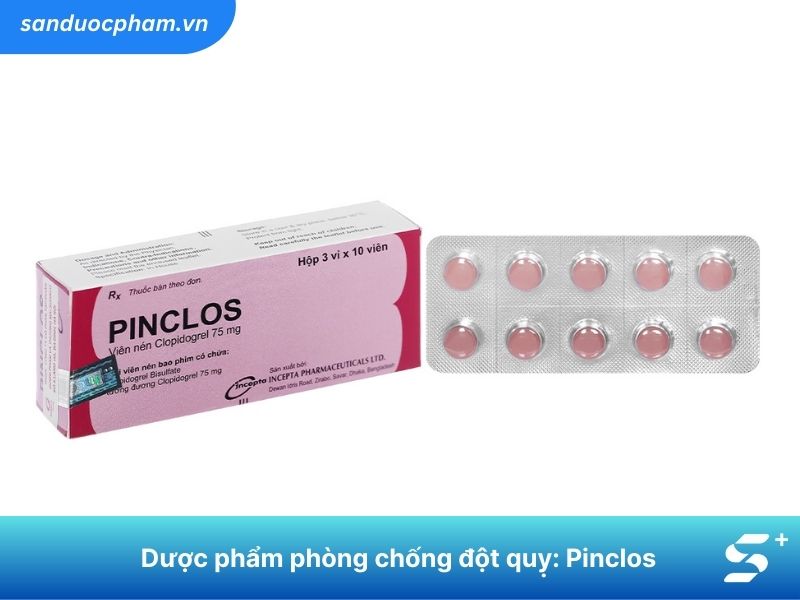 Dược phẩm phòng chống đột quỵ Pinclos