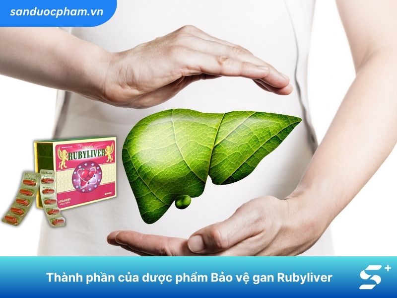 Thành phần của dược phẩm Bảo vệ gan Rubyliver