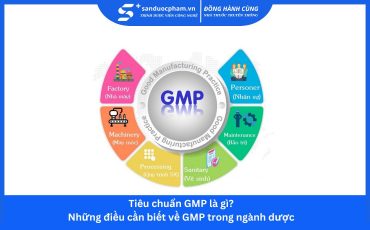 Tiêu chuẩn GMP là gì? Những điều cần biết về GMP trong ngành dược